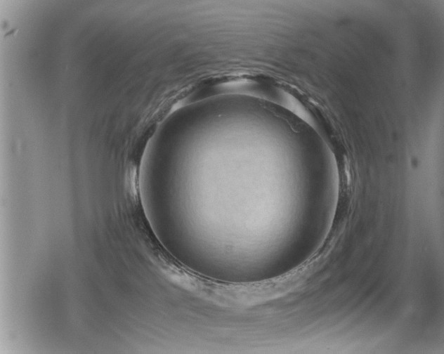 X0000079340041200611171136