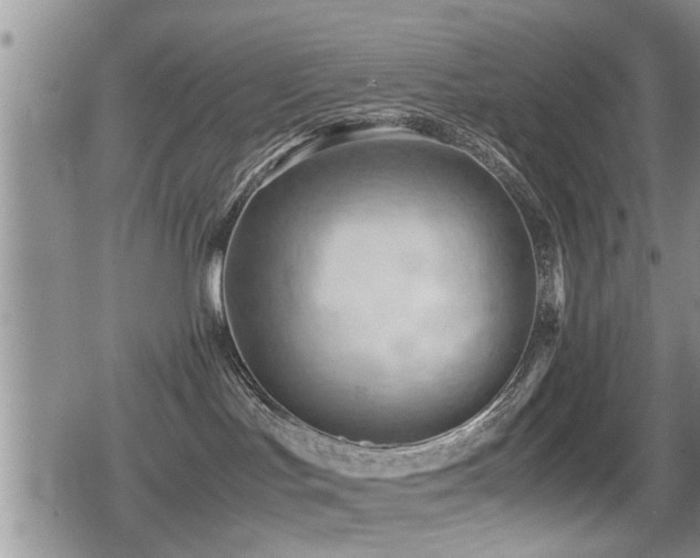 X0000079340047200611171136