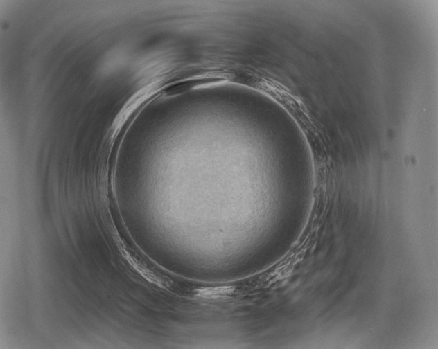 X0000079340051200611171135