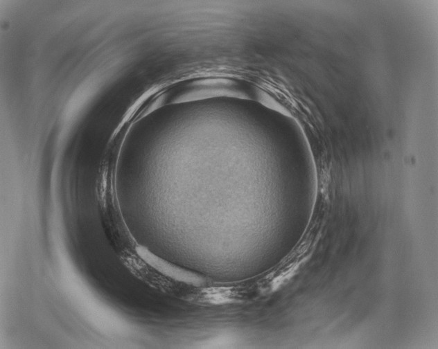 X0000079340052200611171135
