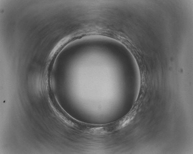 X0000079340054200611171135