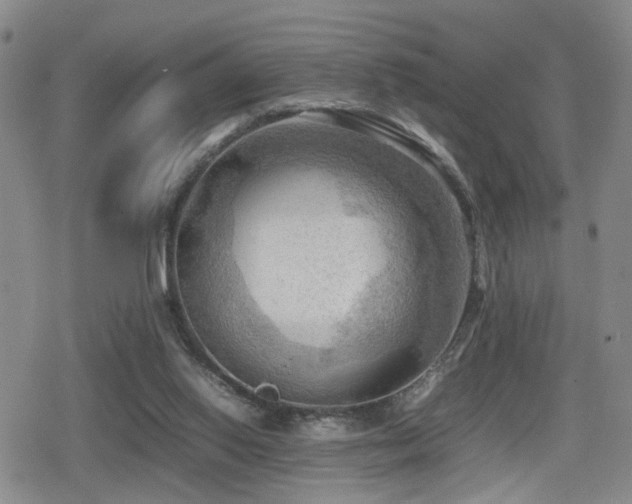 X0000079340062200611171135
