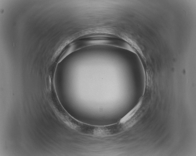 X0000079340109200611171135