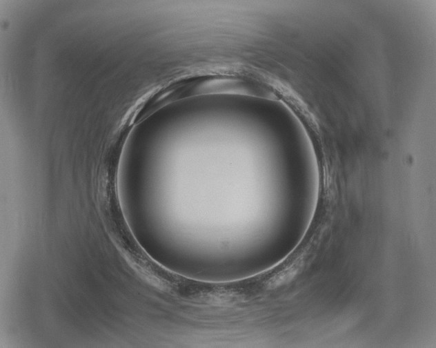 X0000079340201200611171134