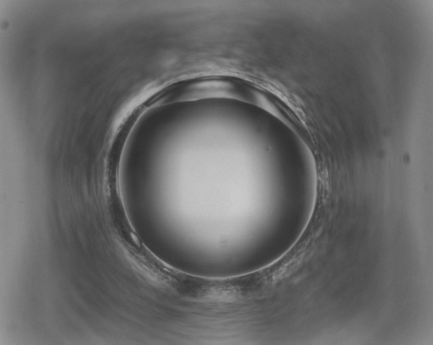 X0000079340248200611171132