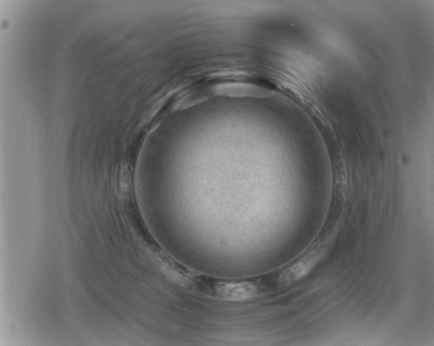 X0000079340277200611171133