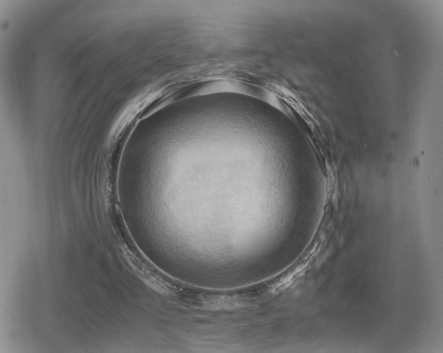 X0000079340293200611171132