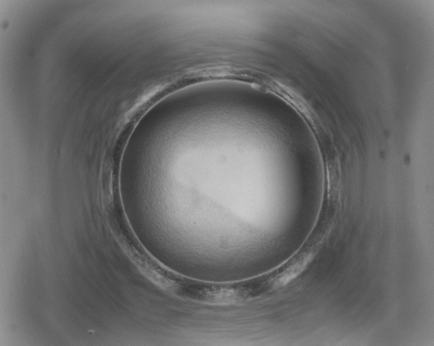 X0000079340301200611171132