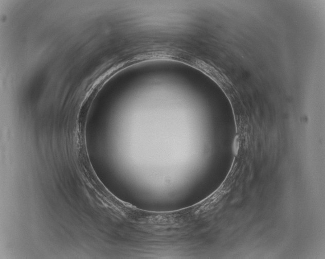 X0000079340338200611171131