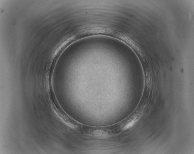 X0000079340390200611171130