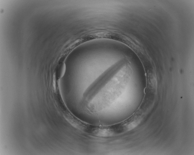 X0000079340507200611171129