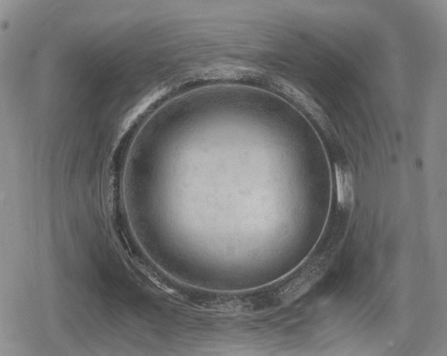 X0000079340675200611171126