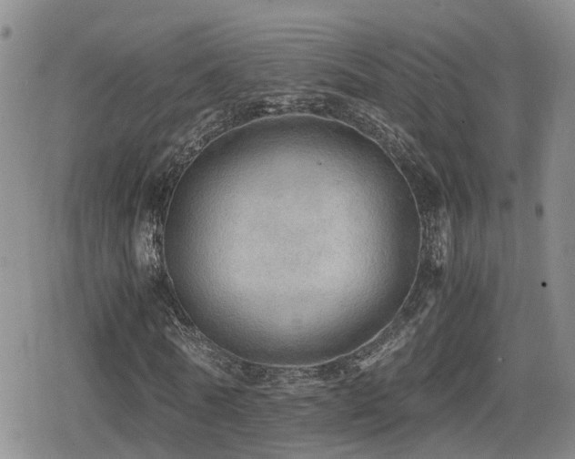 X0000079340770200611171124