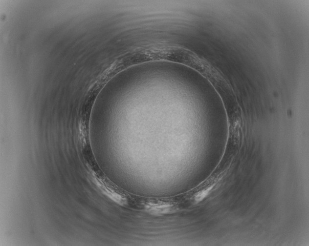 X0000079340772200611171124