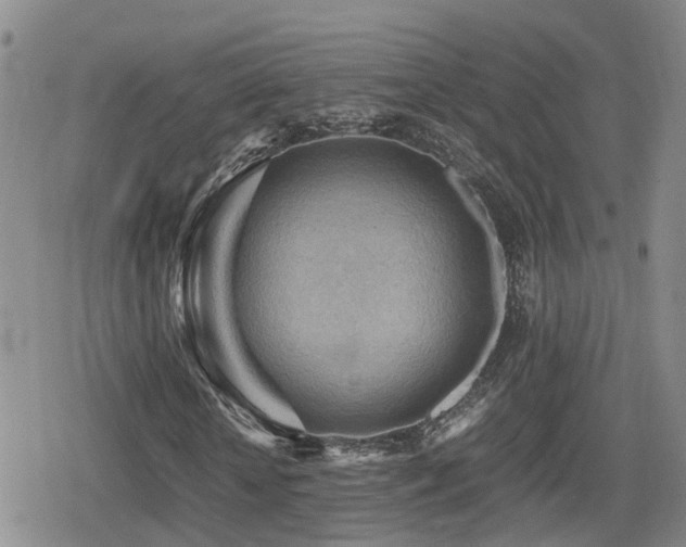 X0000079340818200611171123