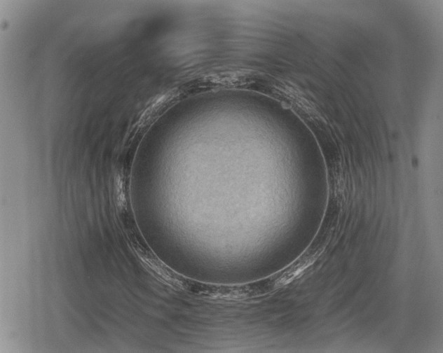 X0000079341106200611171118