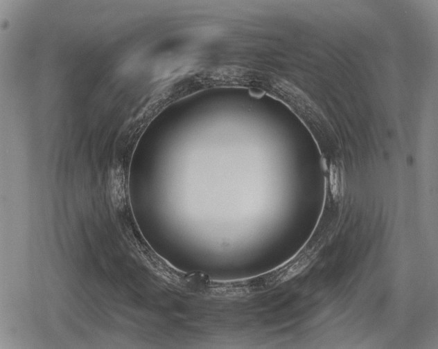 X0000079341107200611171118