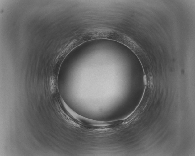 X0000079341108200611171118