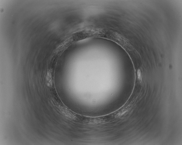 X0000079341203200611171116