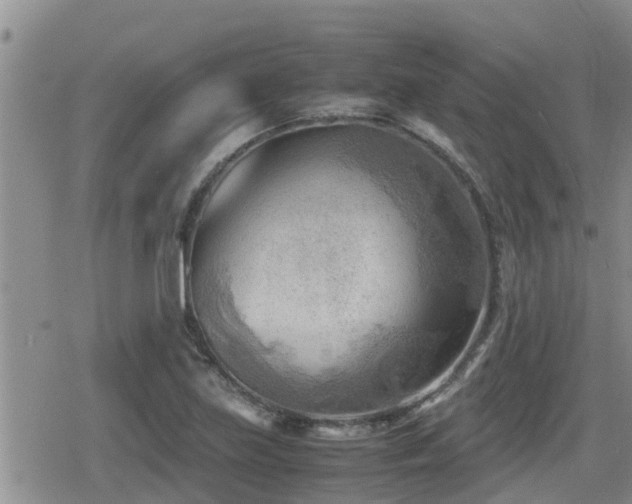 X0000079341219200611171117