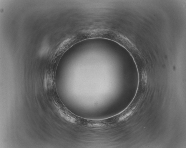 X0000079341300200611171115