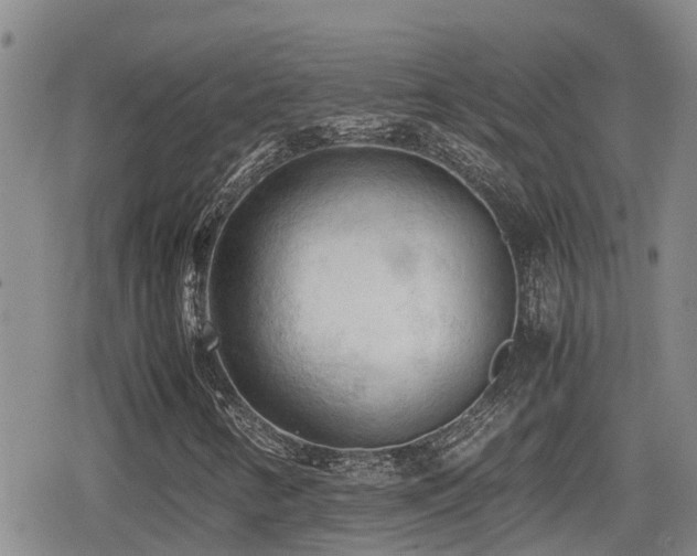 X0000079341346200611171115