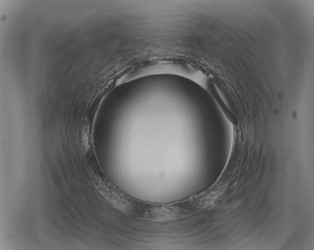 X0000079341348200611171115