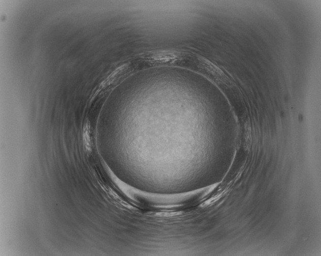 X0000079341394200611171113