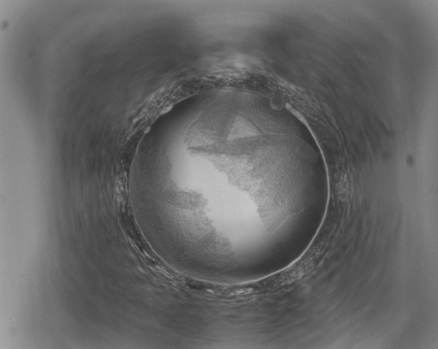 X0000079341397200611171113