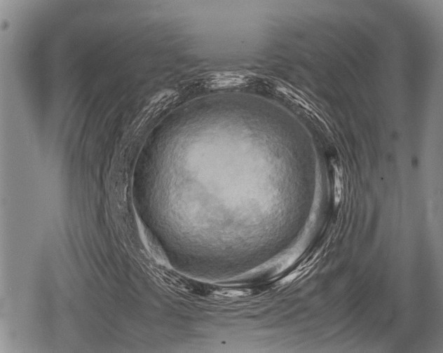 X0000079341441200611171113