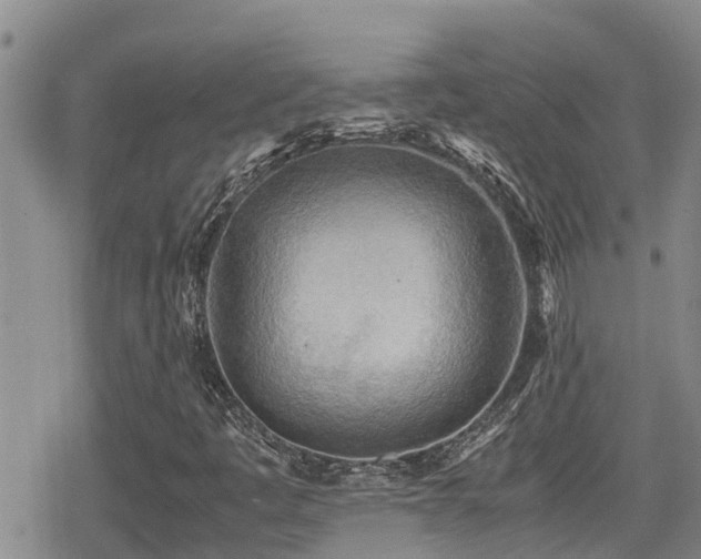 X0000079341445200611171113