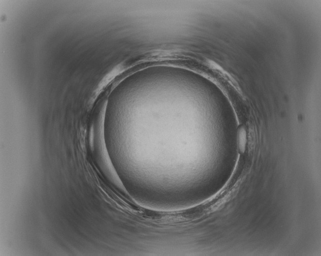 X0000079341449200611171113