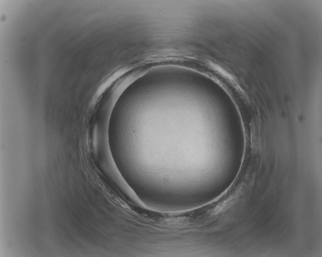 X0000079341453200611171113