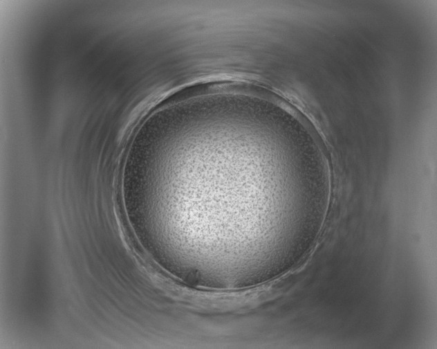 X0000079340001200611251909