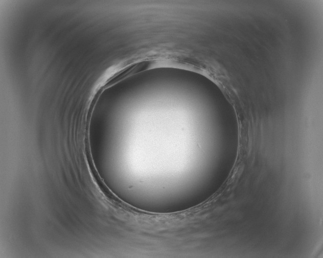 X0000079340003200611251909