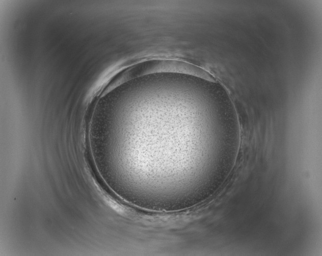 X0000079340005200611251909