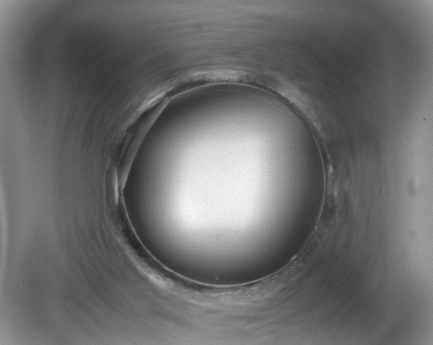 X0000079340013200611251908