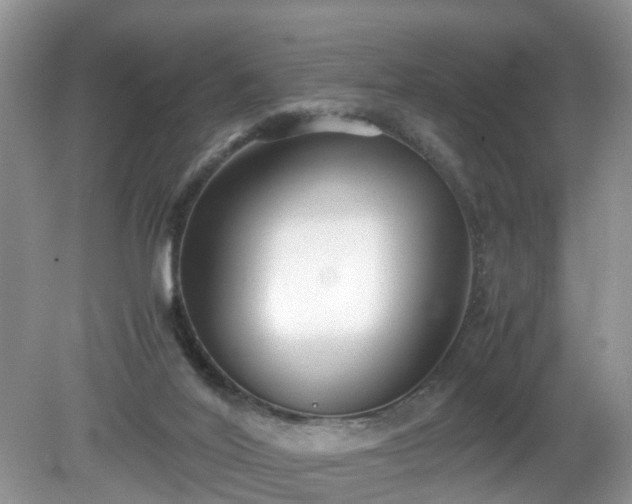 X0000079340020200611251908