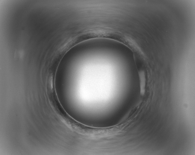 X0000079340021200611251908