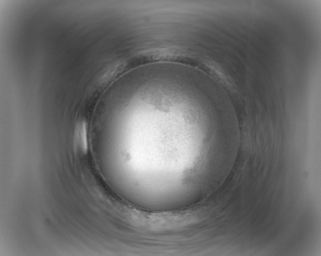 X0000079340022200611251908