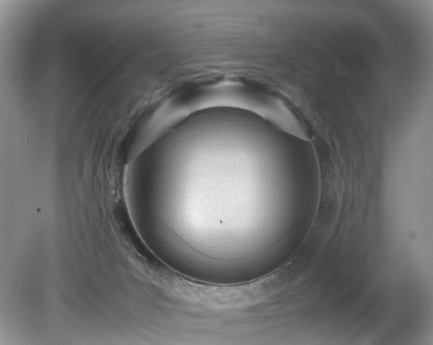 X0000079340031200611251908