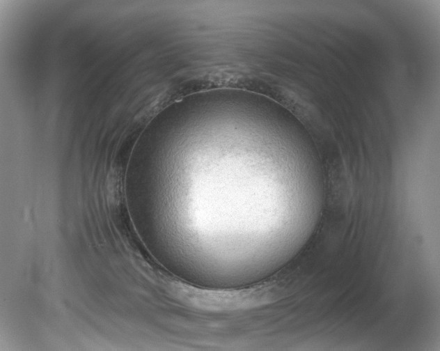 X0000079340034200611251908