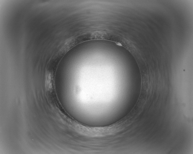 X0000079340038200611251908