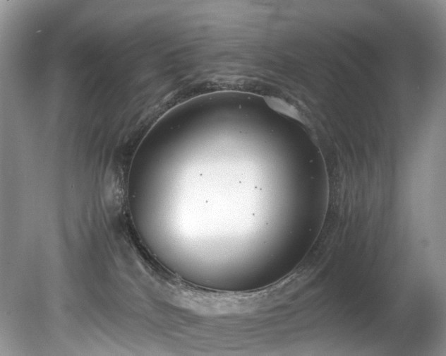 X0000079340040200611251908