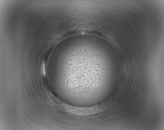 X0000079340042200611251908