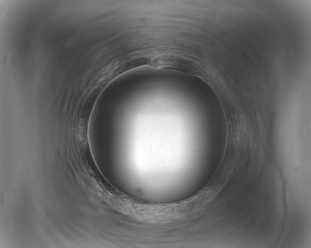 X0000079340044200611251908