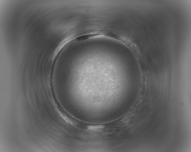 X0000079340051200611251907