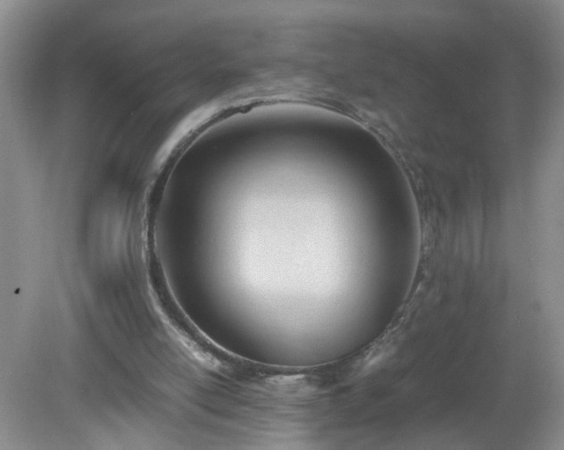 X0000079340054200611251907