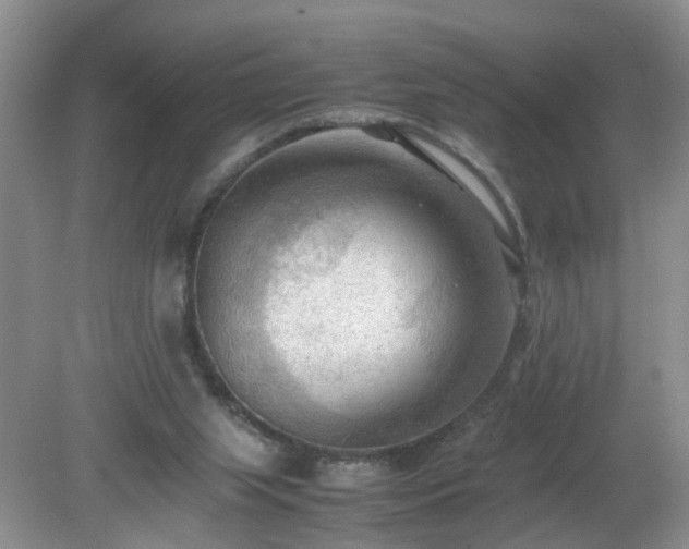 X0000079340063200611251907