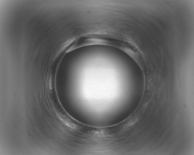 X0000079340068200611251907